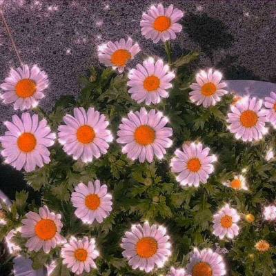 生查子·惆怅彩云飞